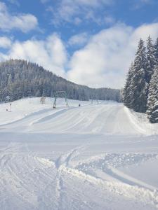 Obiekt Ferienhaus Schäfer - Apartments - Wintersports - Family holiday - Holiday with your dog - Rural & Scenic zimą