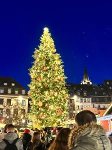 Επισκέπτες που μένουν στο Appartement Strasbourg Centre +5 φωτογραφίες