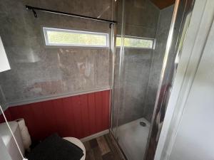 a bathroom with a shower with a toilet and a window at North Norfolk Glamping in Holt +55 photos