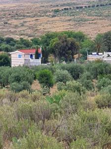 Φυσικό τοπίο κοντά σε αυτό το διαμέρισμα