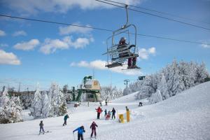 a group of people skiing on a ski lift at ML143 Perfect For Families EZ Location Washer Dryer WiFi Slope Side in Snowshoe +3 photos