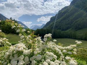 Gallery image of Revier caravan-ig und cool in Hätzingen