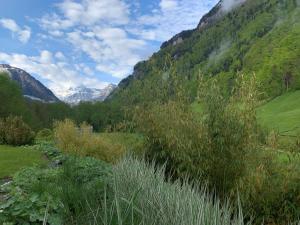 Gallery image of Revier caravan-ig und cool in Hätzingen +21 photos