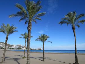 a group of palm trees on a beach at Casa al Castillo - charming & authentic townhouse - terrace with stunning castle views in Cullera
