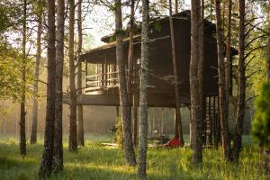 Garður fyrir utan Treehouseestonia