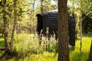 Mynd úr myndasafni af Treehouseestonia í Jõgisoo
