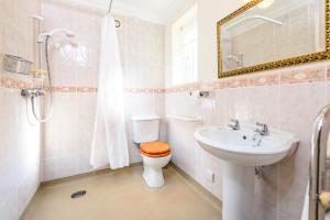 a bathroom with a toilet and a sink and a mirror at Garden Cottage in Great Yarmouth