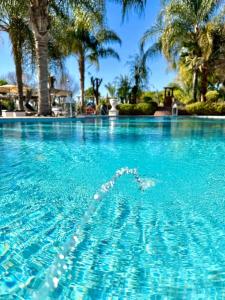 a swimming pool with blue water and palm trees at Weedan Hotel & Spa Marrakech in Oulad Snaguia +77 photos