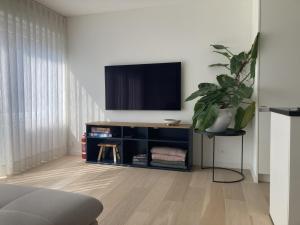 un soggiorno con TV a schermo piatto su un tavolo di Ruime, rustige studio centrum Oostende a Ostenda