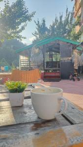 Mynd úr myndasafni af Hippie Panda Hostel í Manāli