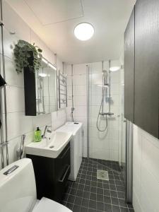 Un baño con lavabo, ducha e inodoro. en Puma's central flat 2 in Helsinki, en Helsinki