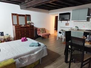 a living room with a bed and a kitchen at Casa Ludovica Trastevere in Rome