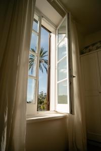 a window with a view of a palm tree at Tenuta Calitto wine resort e spa in Ischia
