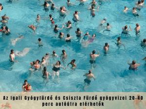 a group of people swimming in a swimming pool at Estina House in Balatonboglár