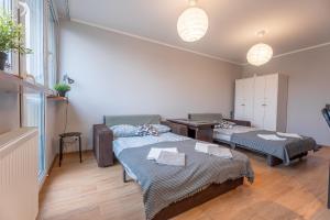 Łóżko lub łóżka w pokoju w obiekcie Apartament Centrum 32m2 Kłodzko - Przyjaciół Ziemi Kłodzkiej - Spokój, Cisza, Bliskość Atrakcji