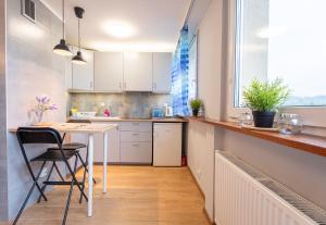 Kuchnia lub aneks kuchenny w obiekcie Apartament Centrum 32m2 Kłodzko - Przyjaciół Ziemi Kłodzkiej - Spokój, Cisza, Bliskość Atrakcji