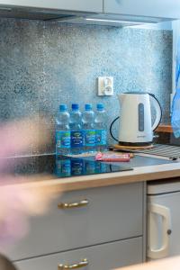 Kuchnia lub aneks kuchenny w obiekcie Apartament Centrum 32m2 Kłodzko - Przyjaciół Ziemi Kłodzkiej - Spokój, Cisza, Bliskość Atrakcji