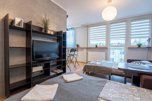 Telewizja i/lub zestaw kina domowego w obiekcie Apartament Centrum 32m2 Kłodzko - Przyjaciół Ziemi Kłodzkiej - Spokój, Cisza, Bliskość Atrakcji