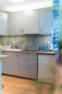 Kuchnia lub aneks kuchenny w obiekcie Apartament Centrum 32m2 Kłodzko - Przyjaciół Ziemi Kłodzkiej - Spokój, Cisza, Bliskość Atrakcji