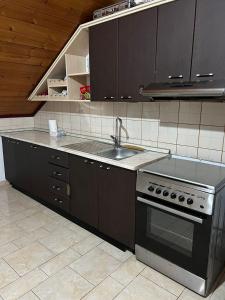 Kuchyň nebo kuchyňský kout v ubytování Karaj Apartments