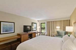 a hotel room with a bed and a television at Hampton Inn Mount Dora in Mount Dora