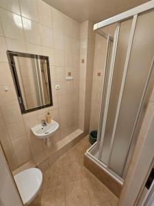 Koupelna v ubytování Noclegi Węgierska Górka + 23 fotografií