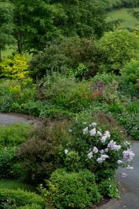 a garden filled with lots of flowers and plants at Ballyknocken Milking Parlour Self Catering Apartment in Coolnakilly