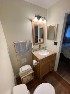 a bathroom with a sink and a toilet and a mirror at Lake View Condo in Basye