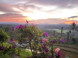 einen Blick auf den Sonnenuntergang von einem Hügel mit Blumen in der Unterkunft Nestinggrounds in Mudigere