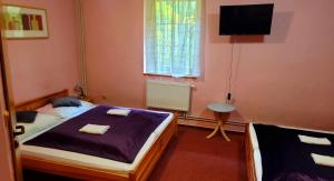 Letto o letti in una camera di Hotel Säntis