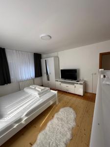 a bedroom with a bed and a tv and a rug at Kuća marinković in Vlasenica