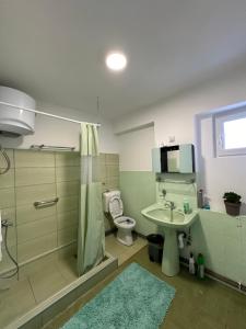 a bathroom with a shower and a sink and a toilet at Kuća marinković in Vlasenica