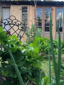 Garden sa labas ng Todo se transforma
