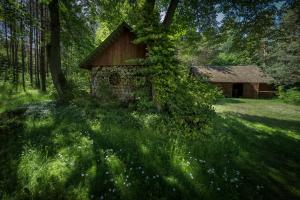 Vonkajšia záhrada v ubytovaní Dom na Podlasiu