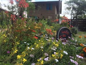 Garden sa labas ng Todo se transforma