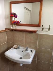 a bathroom with a white sink and a mirror at The Pink Door in Caledon