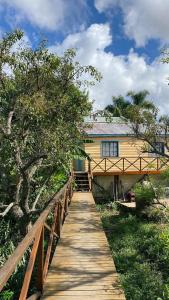 Gallery image of Hidden Island Hostel in Tigre