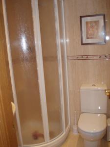 una ducha en un baño con inodoro en Apartamento Lamatriz Dequin Edificio Sayo 8, en Benasque