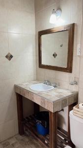 een badkamer met een wastafel en een spiegel bij Apart Hotel Pueblo Viejo in San Juan