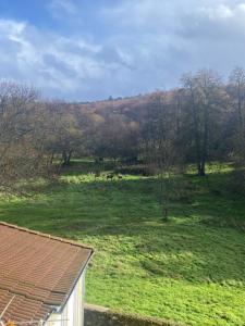 una vista di un campo con alcuni animali in lontananza di Casa del Bosque a Béjar
