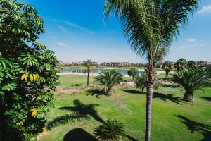 a palm tree in a field of grass with a body of water at Bonsai in Murcia