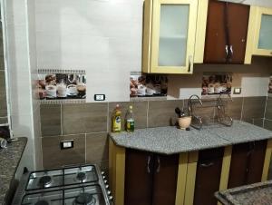 a kitchen with a stove and a counter top at elephantine nile view house in Aswan