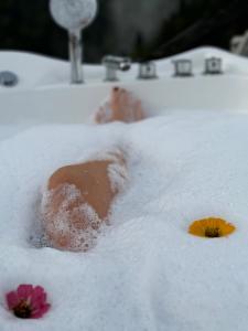 Glamping Machakhela durante l'inverno