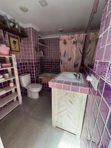 ラ・リネア・デ・ラ・コンセプションにあるCasa PRECIOSA ideal para familiasの紫色のバスルーム(洗面台、トイレ付)