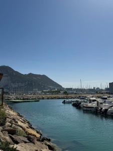 ラ・リネア・デ・ラ・コンセプションにあるCasa PRECIOSA ideal para familiasの港に停船した川