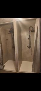 サン・ルイにあるAuberge du manala chambre 4 personnes 24-24のバスルーム(シャワー、シャワーカーテン付)