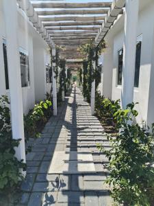 Foto dalla galleria di Hotel Villas Xali a Barra de Tuxpan