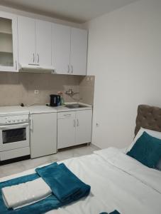 Kuchyň nebo kuchyňský kout v ubytování Euphoria Apartman Jagodina