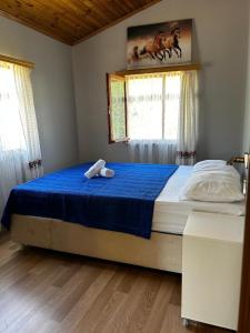 een slaapkamer met een bed met blauwe lakens en 2 ramen bij Garden Party House in Sile +4 foto's