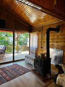 een woonkamer met een houtkachel in een hut bij Garden Party House in Sile